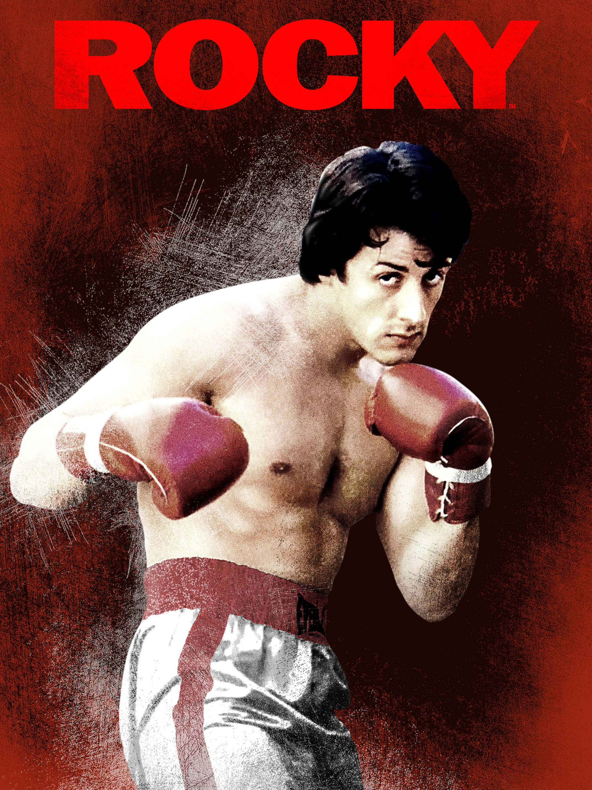 rocky review